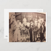 Circus Performances und White Horses Postkarte (Vorne/Hinten)