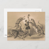 Circus Performer Stehend unter vicious Animals Postkarte (Vorne/Hinten)