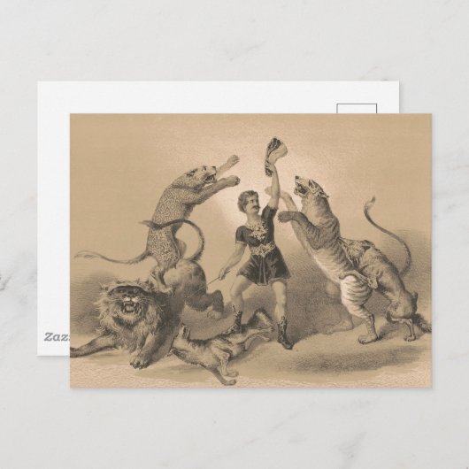 Circus Performer Stehend unter vicious Animals Postkarte (Vorne/Hinten)