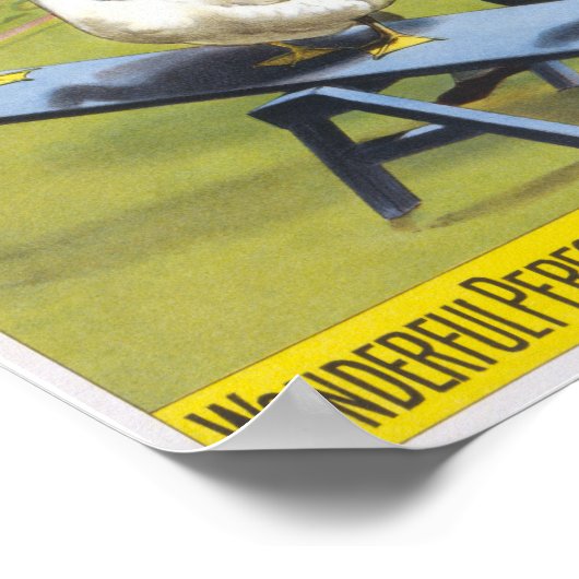 Circus Poster (Ecke)