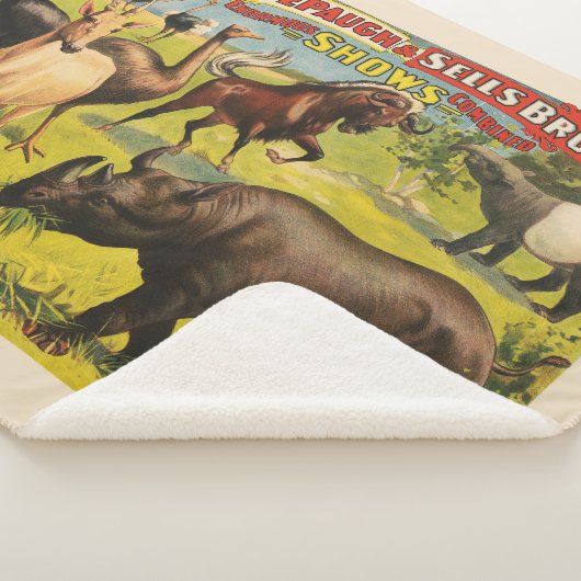 Circus Poster für Adam Forepaugh & Sells Brothers Sherpadecke (3/4)