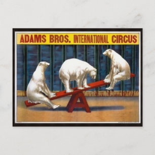 Circus Poster Postkarte