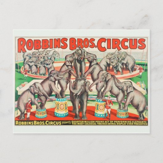 Circus Poster Postkarte (Vorderseite)