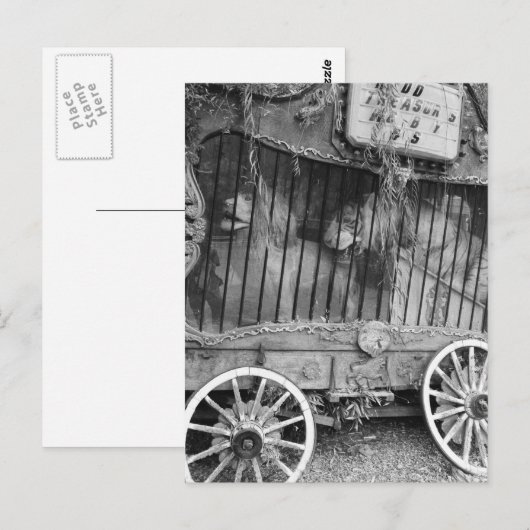 Circus Wagon Postkarte (Vorne/Hinten)