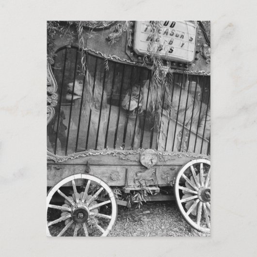Circus Wagon Postkarte (Vorderseite)