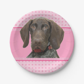        Cirgrizzlygirlspink Baby 4.jpg Pappteller