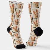 Cirneco dell’Etna Malerei Niedliche Original Hunde Socken (Gewinkelt)