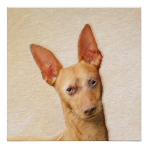 Cirneco dell'Etna Malerei - Süße originelle Hundek Poster