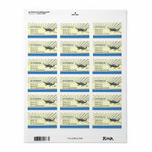 Cirrus SR22 Adressaufkleber (Vorne)