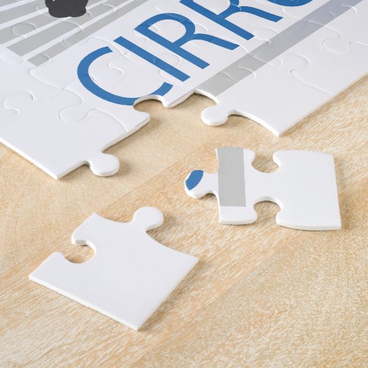 Cirrus SR22 Puzzle (Seite)