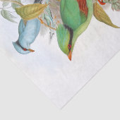 Cissa Venatoria Decoupage Seidenpapier (Ausschnitt)