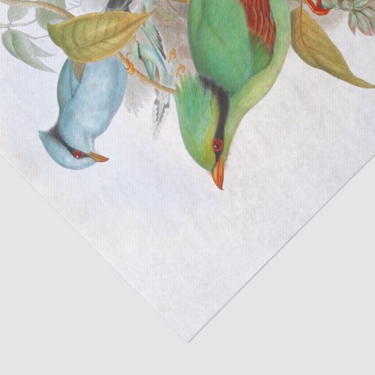 Cissa Venatoria Decoupage Seidenpapier (Ausschnitt)