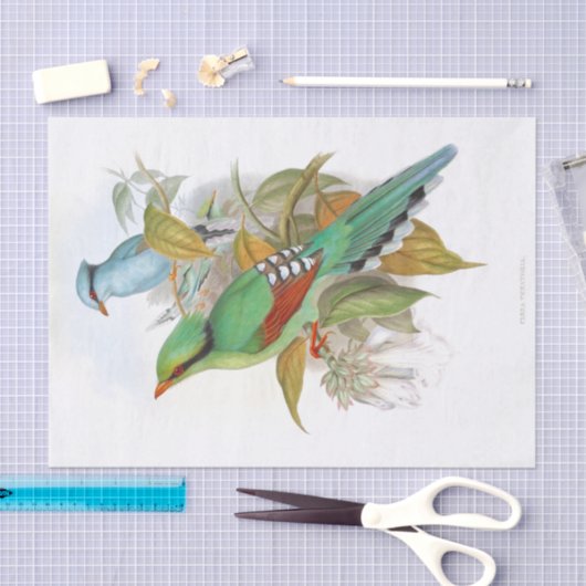 Cissa Venatoria Decoupage Seidenpapier (Handwerk)