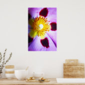 Cistus-Blume Poster (Küche)