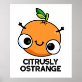 Citrely Ostrange Funny Strange Orange Pub Poster (Vorne)