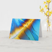 Citric acid under the mikroskop karte (Gelbe Blume)