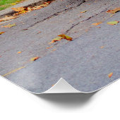 Citroen 2 CV Charleston Poster (Ecke)