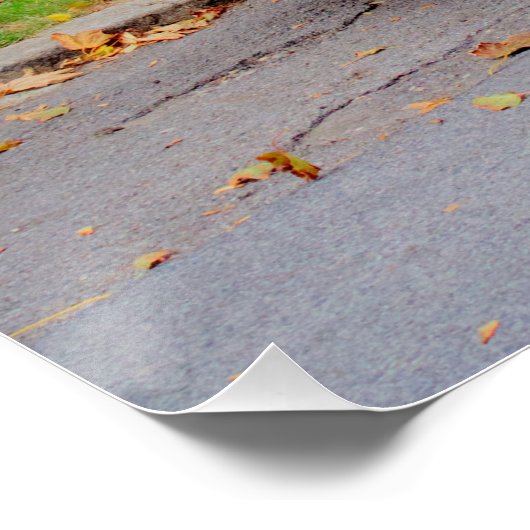 Citroen 2 CV Charleston Poster (Ecke)