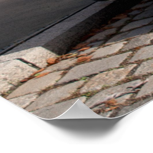 Citroen Typ H Van Poster (Ecke)