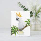 Citron Crested Cockatoo Postcard Postkarte (Stehend Vorderseite)