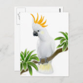 Citron Crested Cockatoo Postcard Postkarte (Vorne/Hinten)