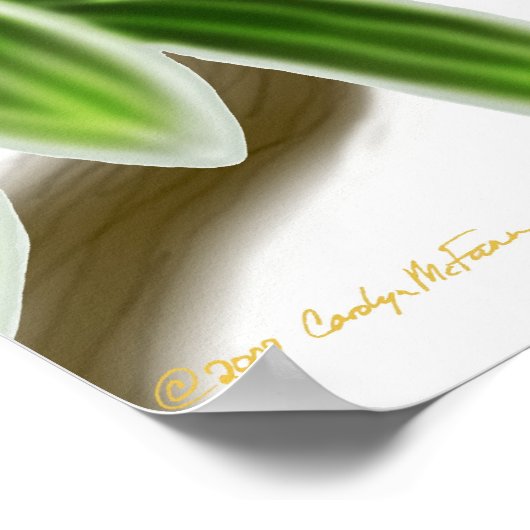 Citron Crested Cockatoo Poster (Ecke)