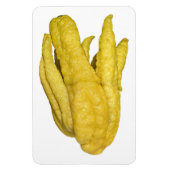 Citron Fruit Foto Magnet (Vertikal)