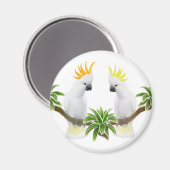 Citron & Sulfur Cockatoo Magnet (Vorderseite/Rückseite)