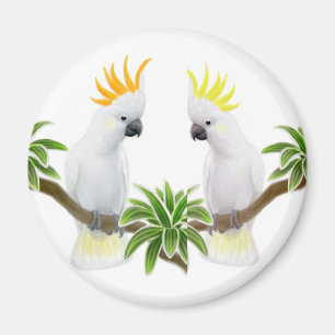Citron & Sulfur Cockatoo Magnet