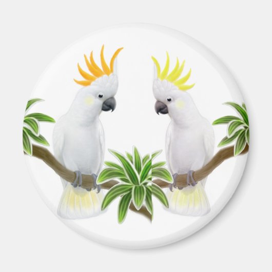 Citron & Sulfur Cockatoo Magnet (Vorne)
