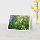 Citronella-Pflanze mit Flora Karte (Gelbe Blume)