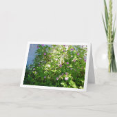 Citronella-Pflanze mit Flora Karte (Vorderseite)