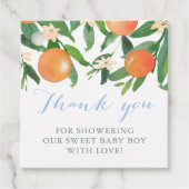 Citrus Baby Shower for Sweet Baby Boy Geschenkanhänger (Vorderseite)