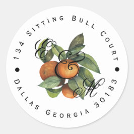 Citrus Botanical Orange Greenery Runder Aufkleber