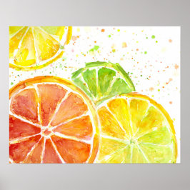 Citrus Frucht Wasserfarbe Kunst drucken Poster