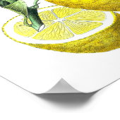 Citrus Fruit Lemon Botanical Print no. 10 Wall Art Poster (Ecke)