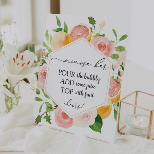 Citrus Fruit Mimosa Bar Sign Sockelschild