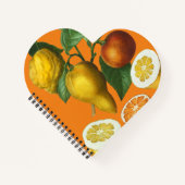 CITRUS FRUIT NOTEBOOK NOTIZBLOCK (Vorderseite)
