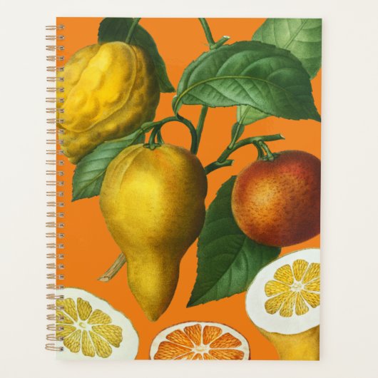 CITRUS FRUIT NOTEBOOK PLANER (Vorderseite)