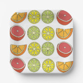 Citrus Fruit Summer Party Pappteller (Vorderseite)