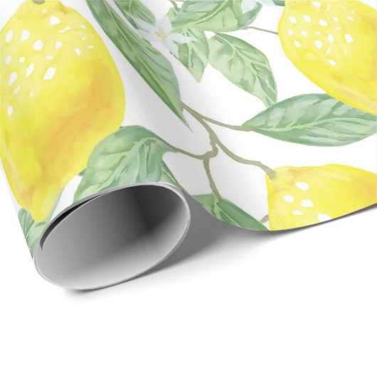 Citrus Geschenkpapier (Rolleneckpunkt)