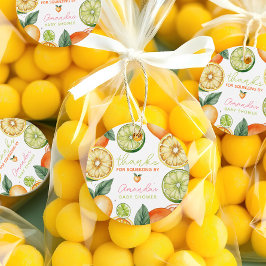 Citrus Got Real Watercolor Fruchtdusche Geschenkanhänger
