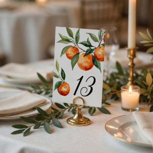 Citrus Hochzeit   Elegante mediterrane Orange Tischnummer