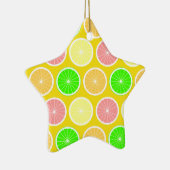 Citrus Keramikornament (Rechts)