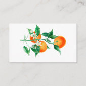 Citrus Little Süsse Baby Duwer Game Diaper Raffel Begleitkarte (Rückseite)