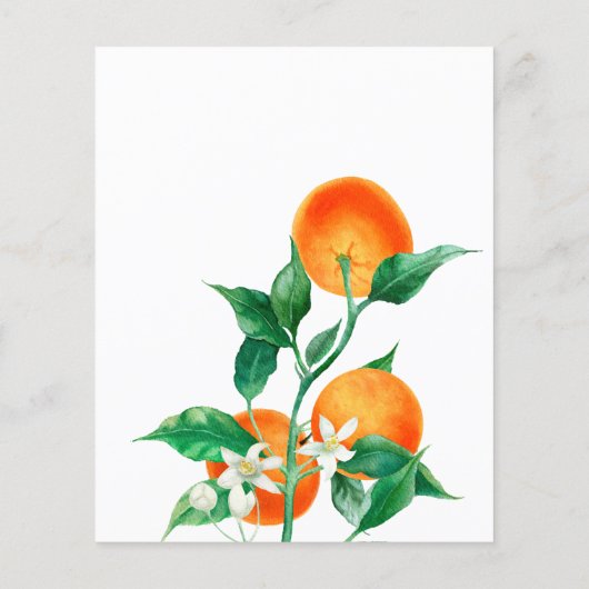 Citrus Little Süsse Baby Shower Advisor Game Card (Rückseite)