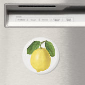 Citrus Magnet (In Situ (Geschirrspüler))