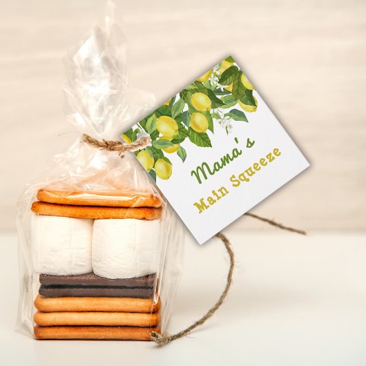 Citrus Main Squeeze Sweetie Lemon Baby Dusche Geschenkanhänger