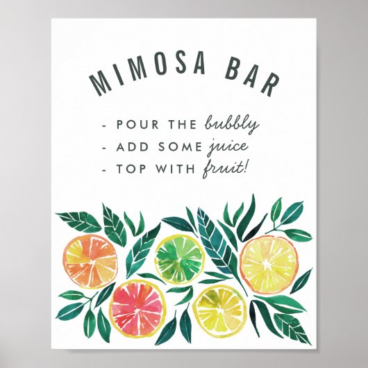Citrus Mimosa Bar Cocktail Drinks Party Zeichen Poster (Vorne)