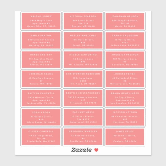 Citrus Minimalistisch Pink Wedding Guest Address Aufkleber (Blatt)